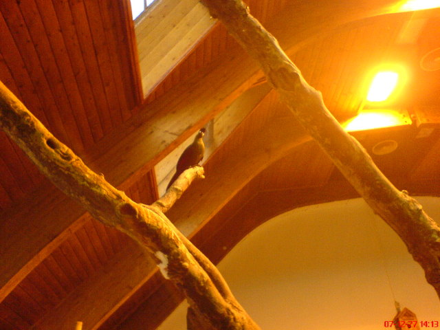 Scaled image dsc05721.jpg 