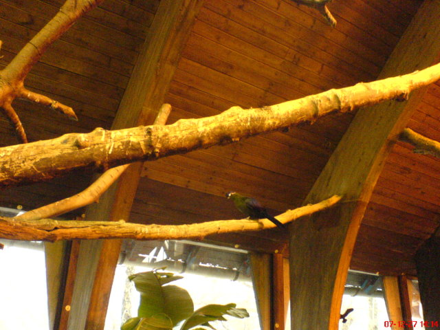 Scaled image dsc05722.jpg 