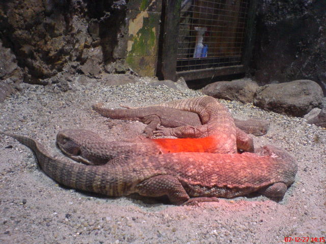 Scaled image dsc05724.jpg 