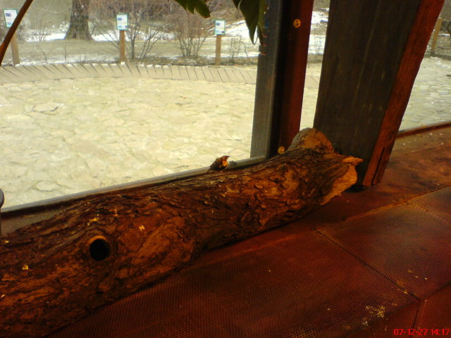 Scaled image dsc05726.jpg 