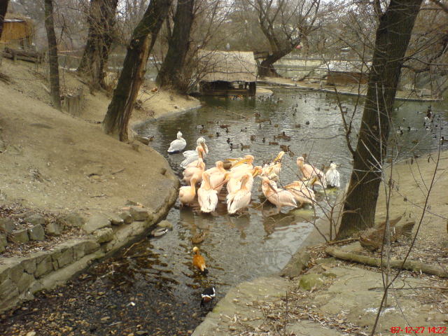 Scaled image dsc05730.jpg 