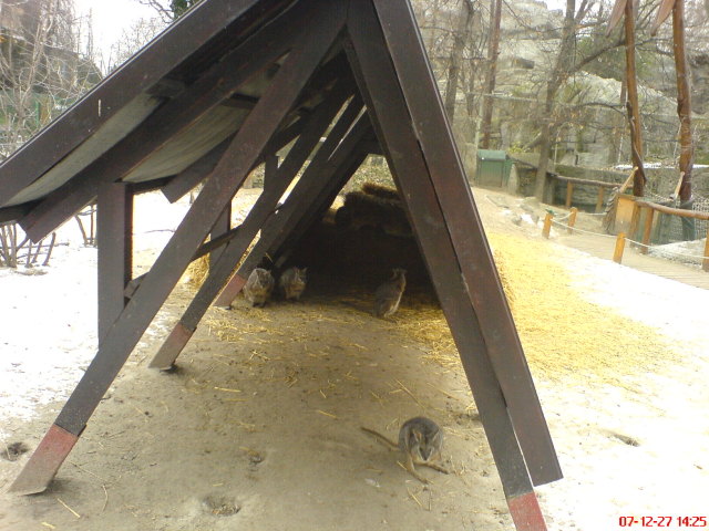 Scaled image dsc05735.jpg 