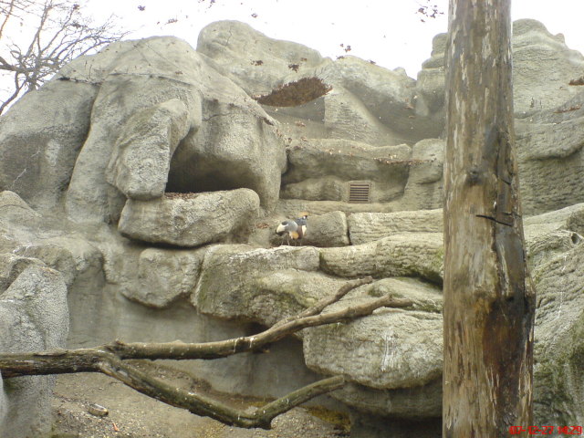 Scaled image dsc05739.jpg 