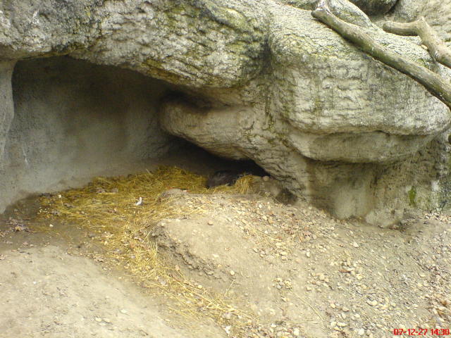 Scaled image dsc05741.jpg 