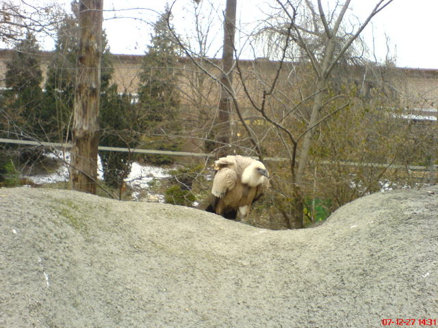 Scaled image dsc05742.jpg 