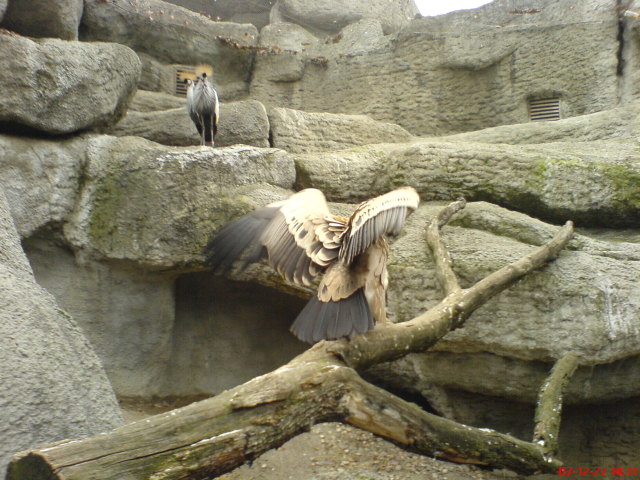 Scaled image dsc05743.jpg 