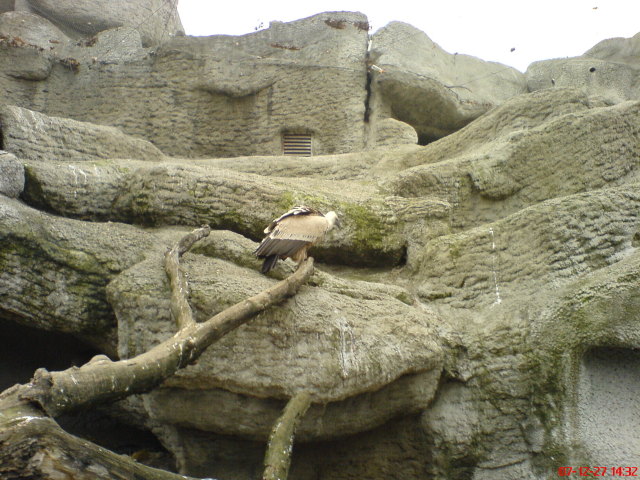 Scaled image dsc05744.jpg 