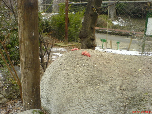 Scaled image dsc05745.jpg 