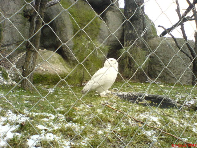 Scaled image dsc05749.jpg 