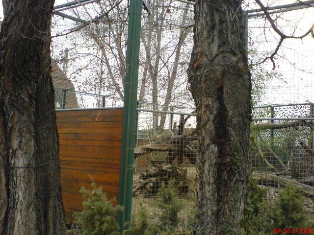 Scaled image dsc05767.jpg 