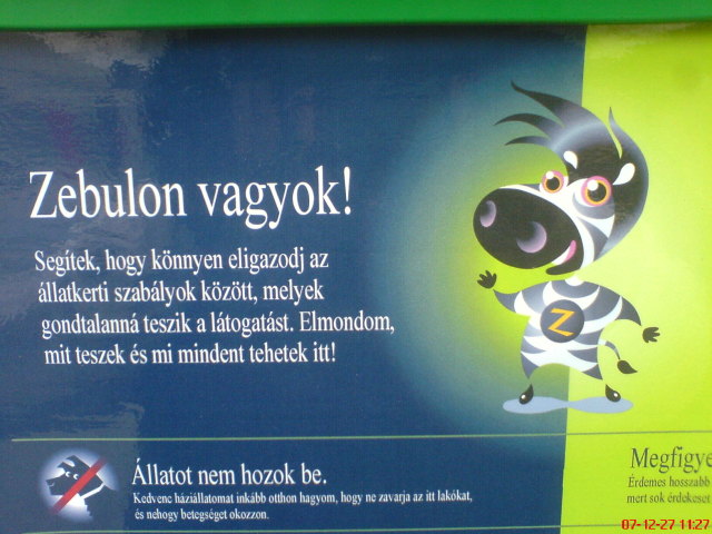 Scaled image dsc05544.jpg 