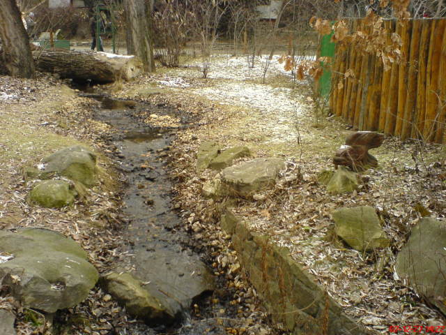 Scaled image dsc05731.jpg 