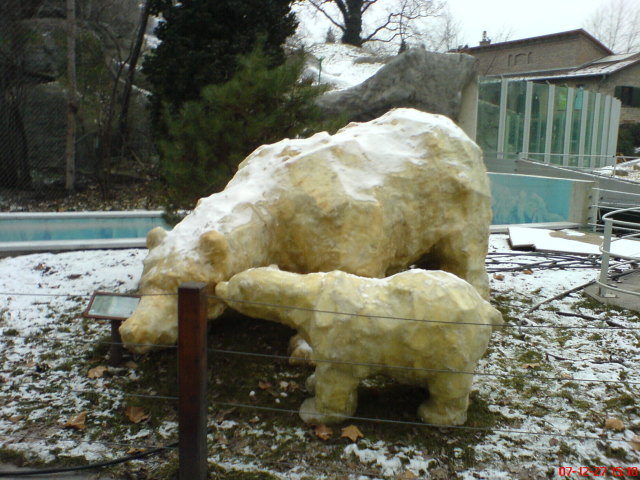 Scaled image dsc05777.jpg 