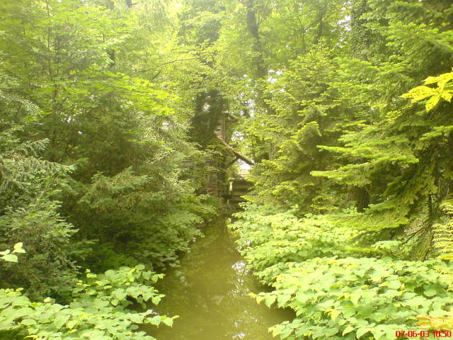 Scaled image vaciarb06.jpg 