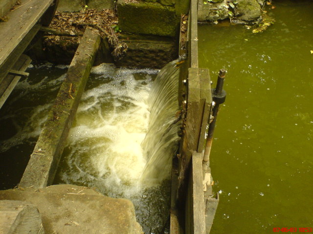 Scaled image vaciarb10.jpg 