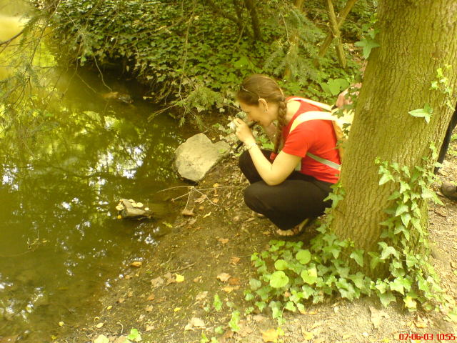 Scaled image vaciarb12.jpg 