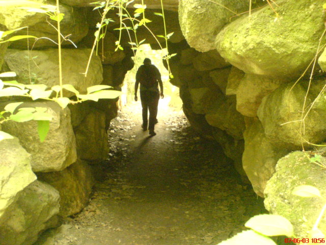 Scaled image vaciarb13.jpg 