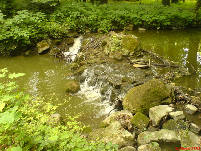 Scaled image vaciarb14.jpg 