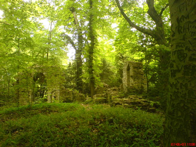 Scaled image vaciarb18.jpg 