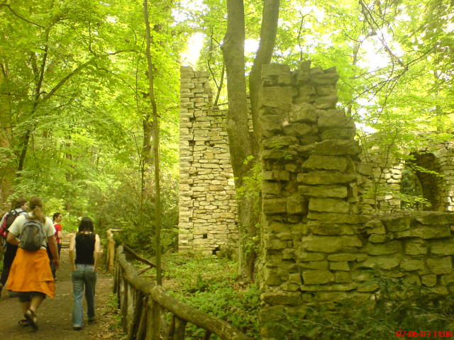 Scaled image vaciarb19.jpg 