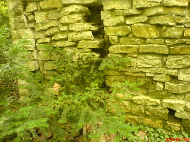 Scaled image vaciarb20.jpg 