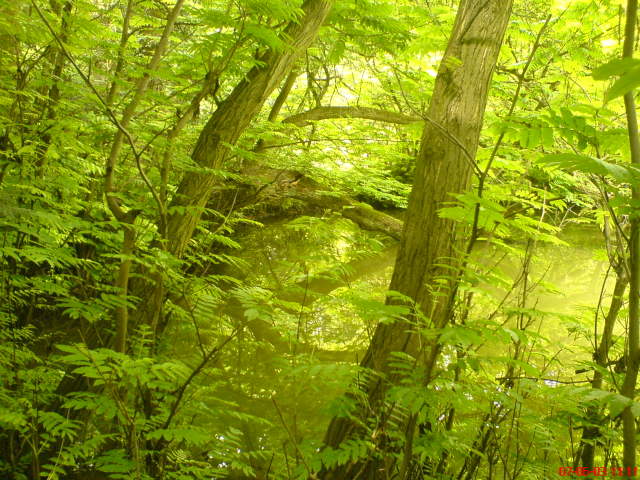 Scaled image vaciarb21.jpg 