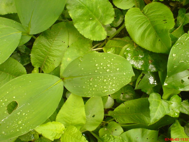 Scaled image vaciarb22.jpg 