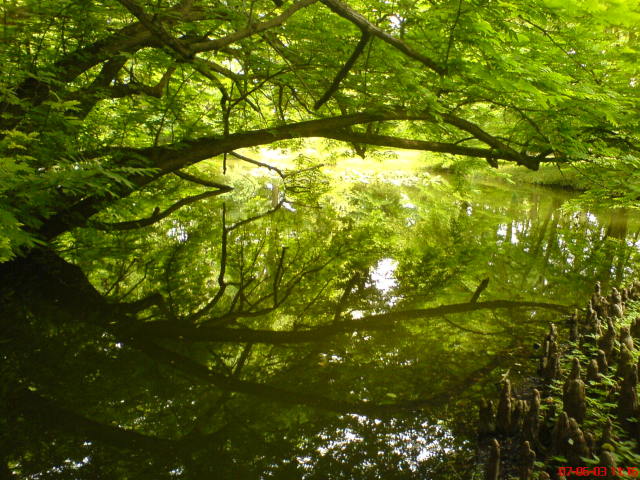 Scaled image vaciarb27.jpg 