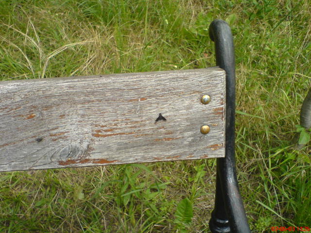 Scaled image vaciarb34.jpg 