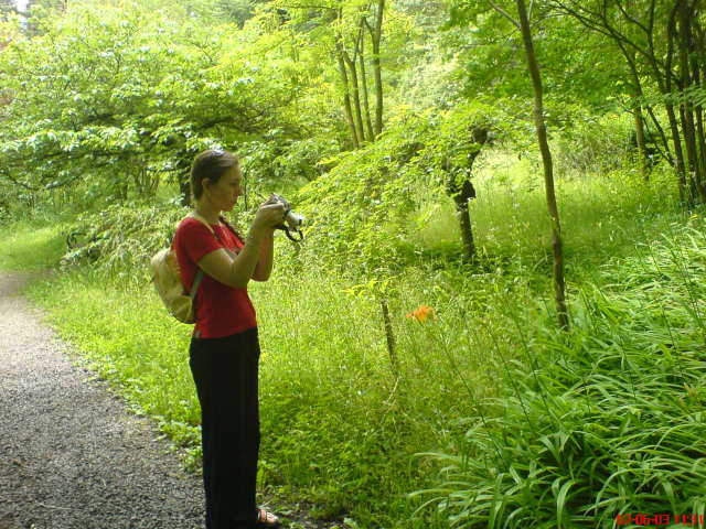 Scaled image vaciarb38.jpg 