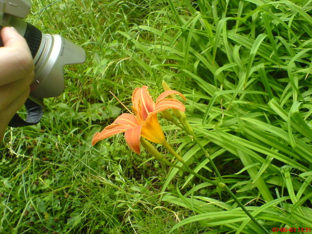 Scaled image vaciarb39.jpg 