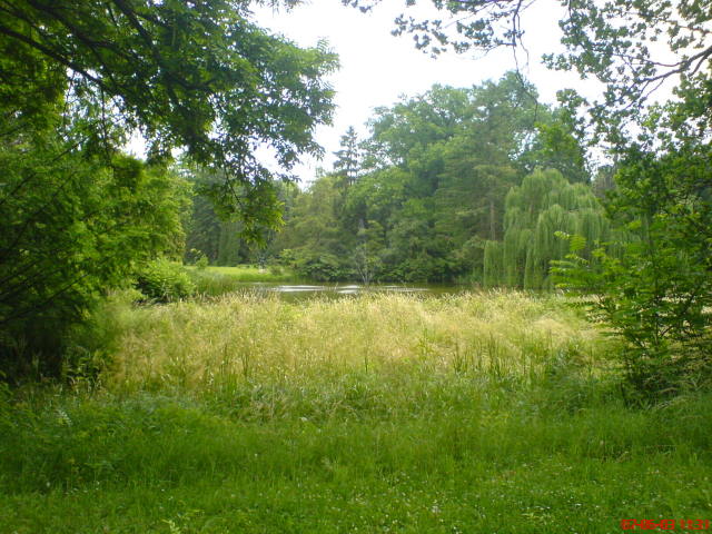 Scaled image vaciarb40.jpg 