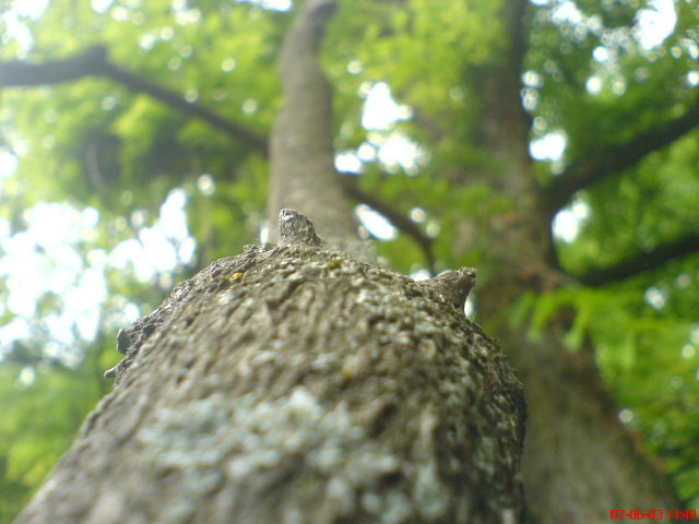 Scaled image vaciarb43.jpg 