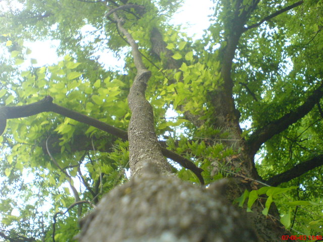 Scaled image vaciarb44.jpg 