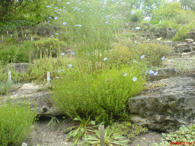 Scaled image vaciarb49.jpg 