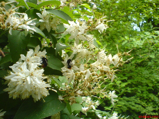 Scaled image vaciarb53.jpg 