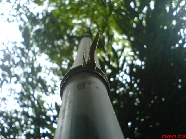 Scaled image vaciarb58.jpg 