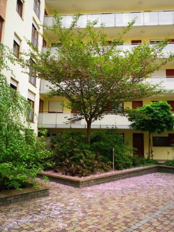 Scaled image IMGP2216.JPG 