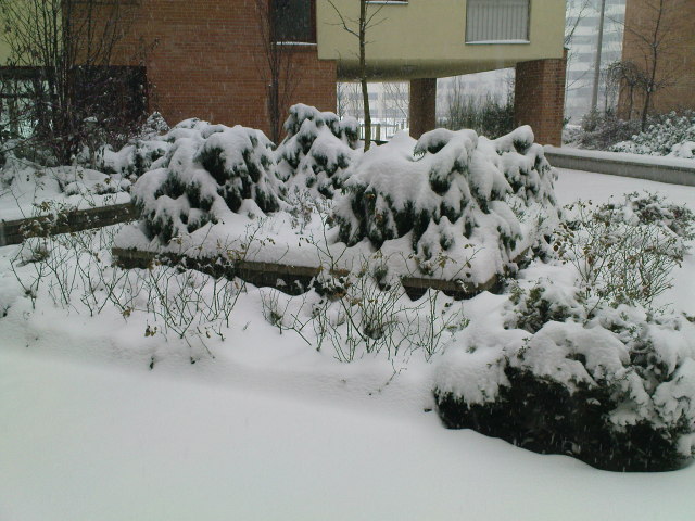 Scaled image DSC04228.JPG 