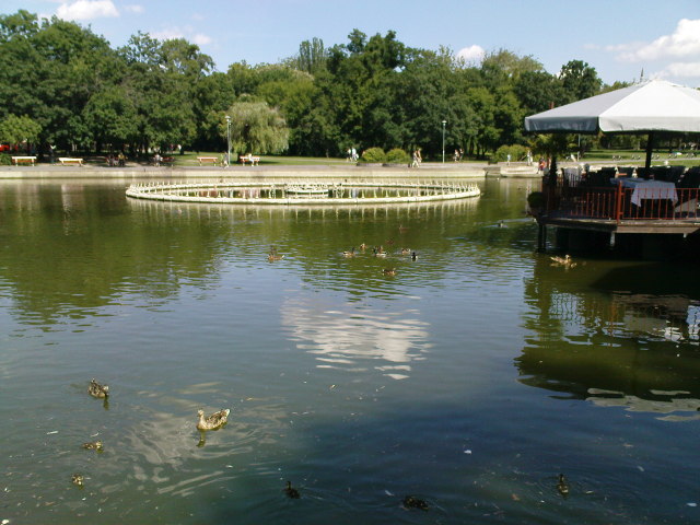 Scaled image dsc00784.jpg 