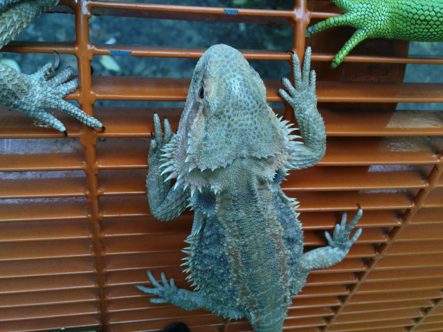 Scaled image dsc00791.jpg 