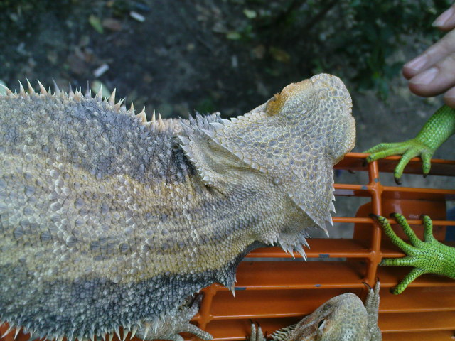 Scaled image dsc00792.jpg 