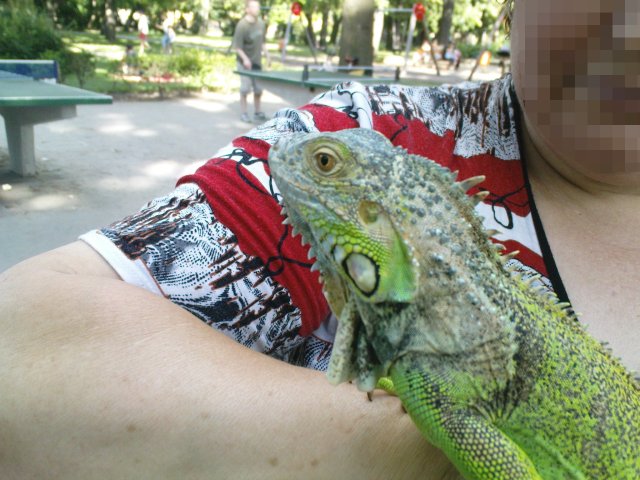 Scaled image dsc00793.jpg 