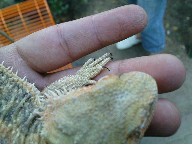 Scaled image dsc00797.jpg 