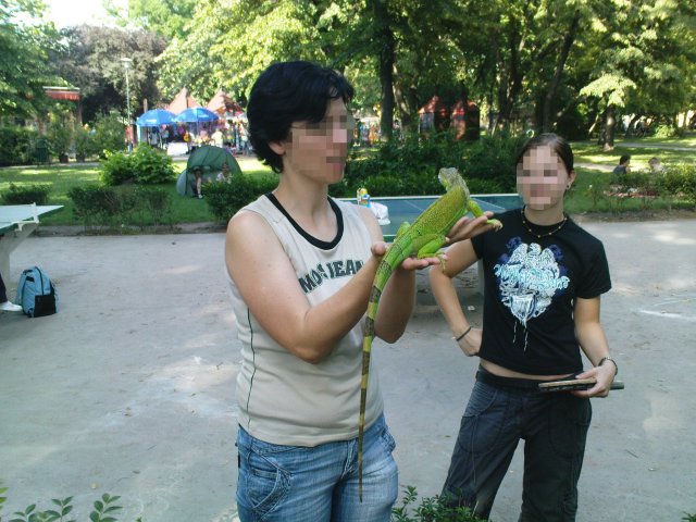 Scaled image dsc00799.jpg 