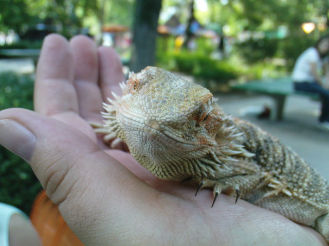 Scaled image dsc00800.jpg 