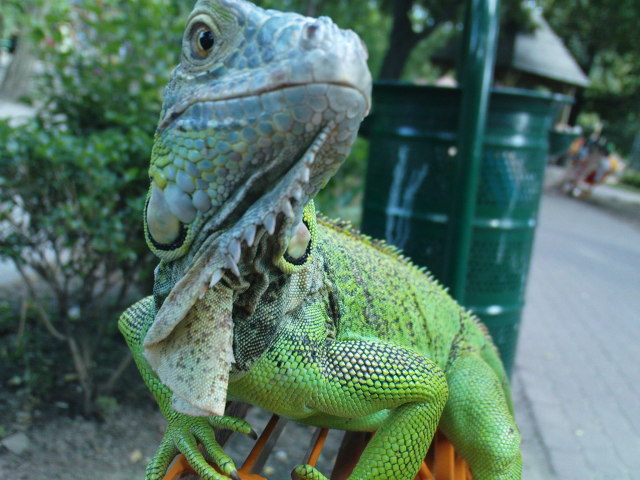 Scaled image dsc00804.jpg 