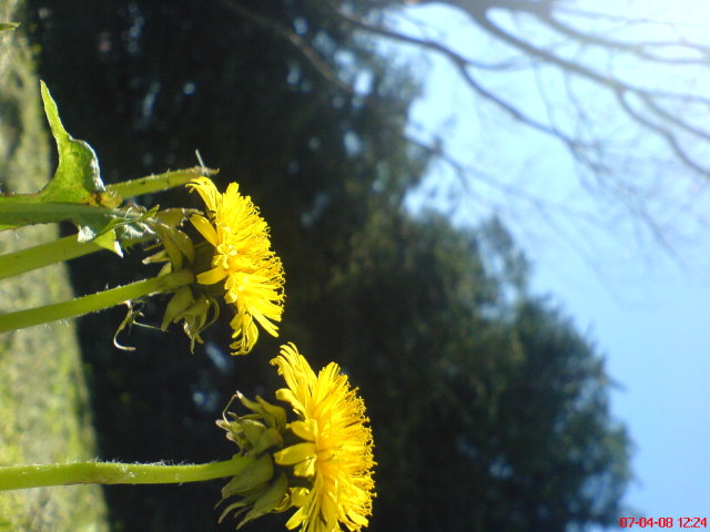 Scaled image dsc02736.jpg 