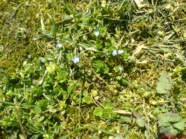 Scaled image dsc02754.jpg 