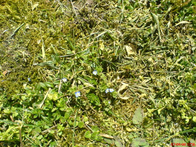 Scaled image dsc02757.jpg 